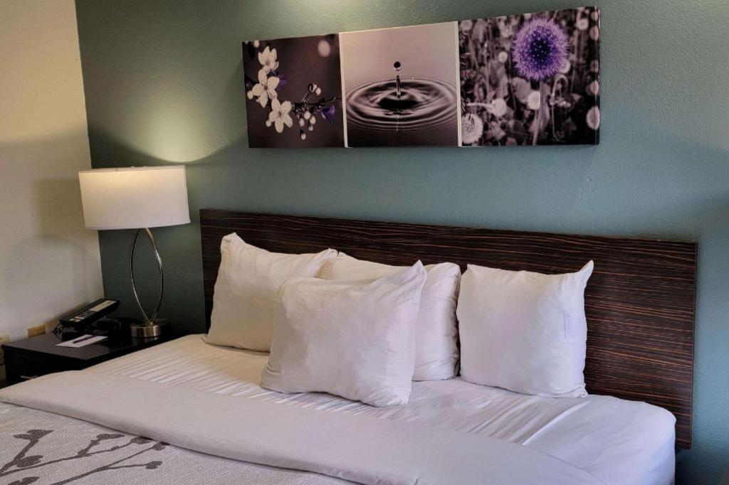 Sleep Inn Bessemer Helena Kültér fotó