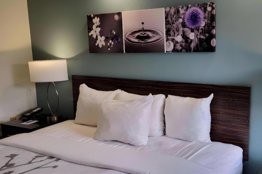 Sleep Inn Bessemer Helena Kültér fotó